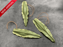 Load image into Gallery viewer, ギンザメ卵のストラップ あまのじゃくとへそまがり