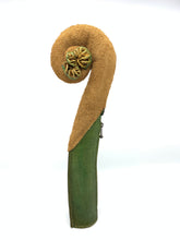 画像をギャラリービューアに読み込む, ヒカゲヘゴの新芽ポーチ
