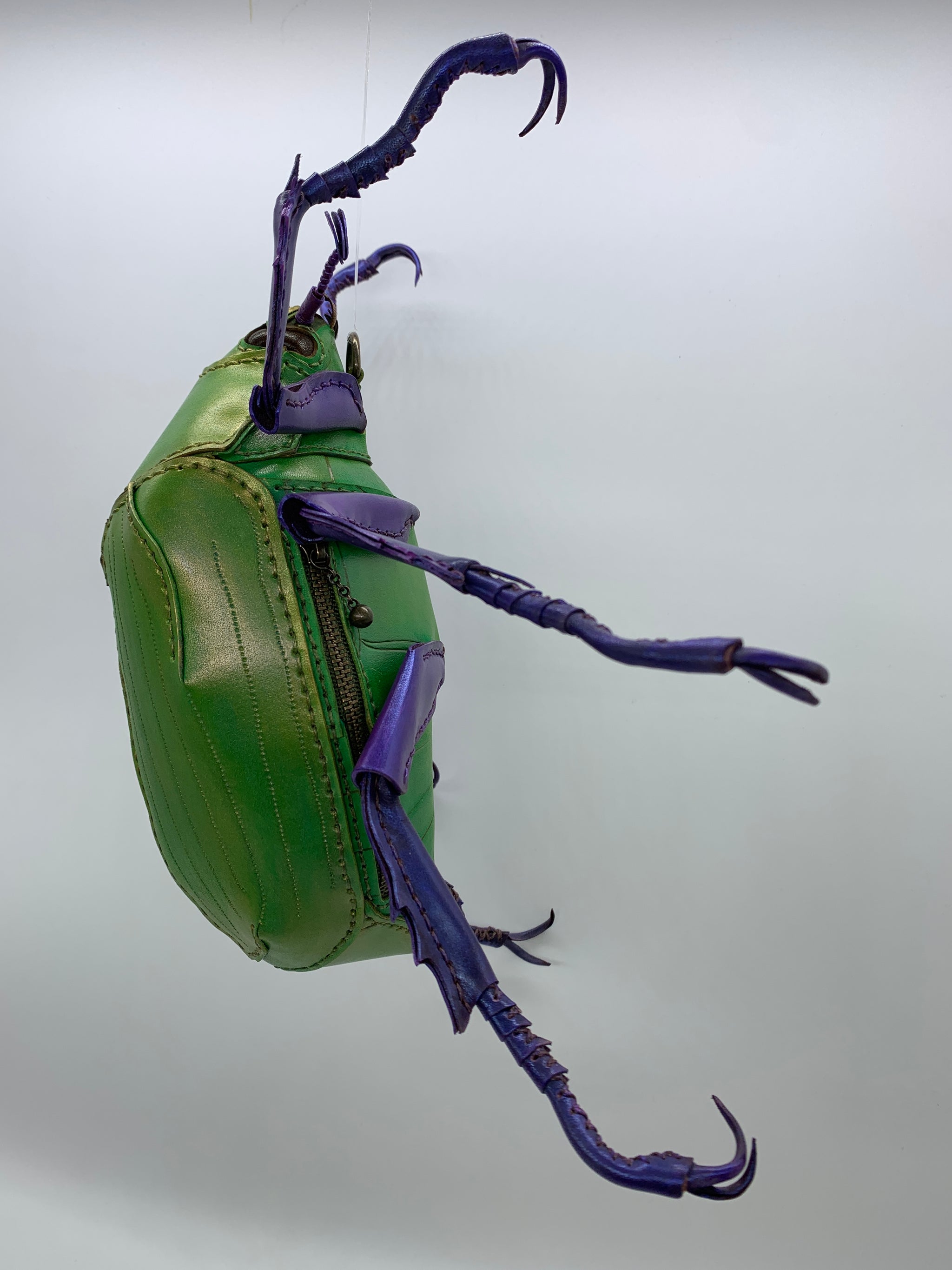 標本 ムネアカウグイスコガネ 29mm