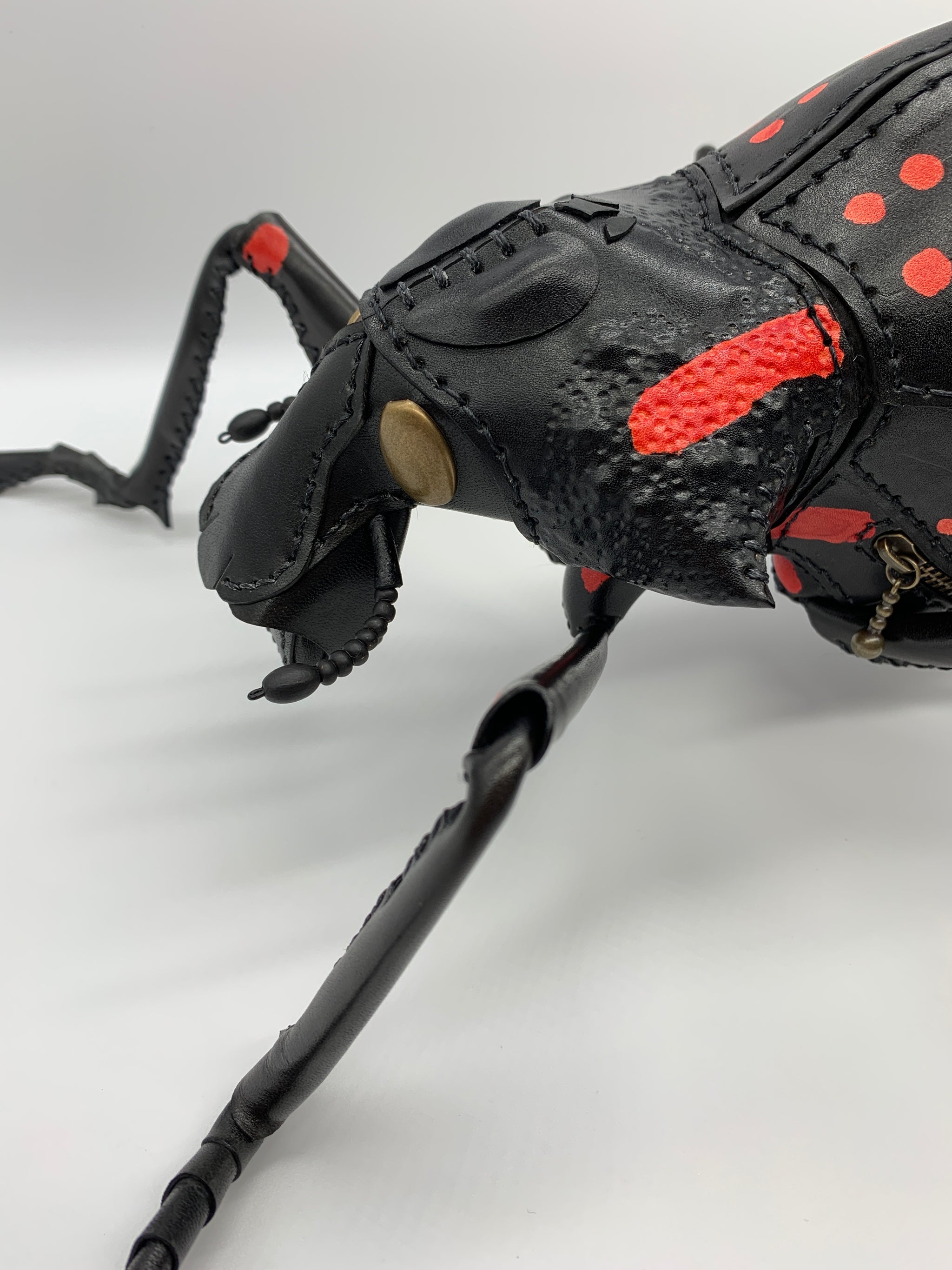 アカモンオウサマゾウムシのBAG – あまのじゃくとへそまがり