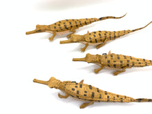 画像をギャラリービューアに読み込む, 【ガビアル赤ちゃんのリップが入る指輪】
