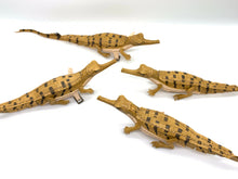 画像をギャラリービューアに読み込む, 【ガビアル赤ちゃんのリップが入る指輪】
