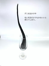 画像をギャラリービューアに読み込む, 【ニキビダニのボールペンと毛のペーパーウエイト】
