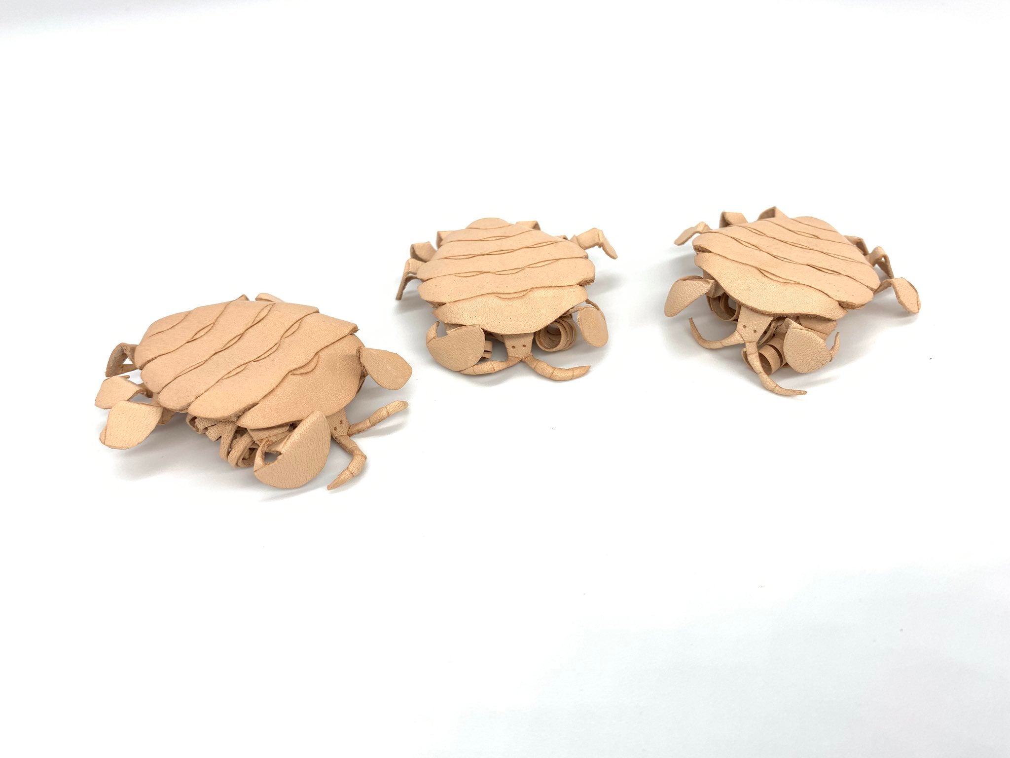 あまのじゃくとへそまがり　カメ　ケース あまのじゃくとへそまがり カメ ケース あまのじゃくとへそ