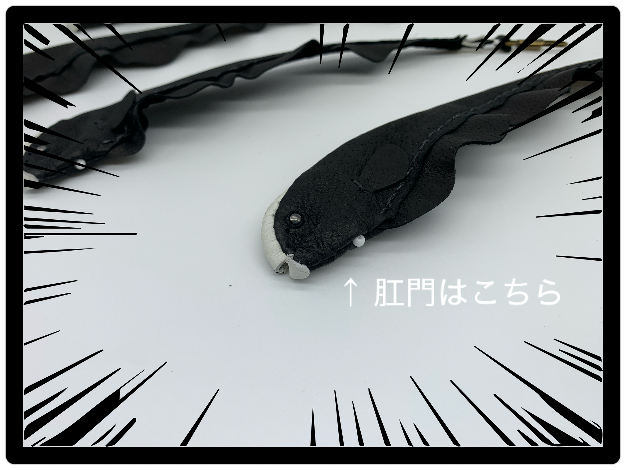 あまのじゃくとへそまがり」魅惑のレザークラフトショップ。 虫・鳥