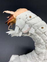 Load image into Gallery viewer, オオセンチコガネの幼虫のペーパーウエイト
